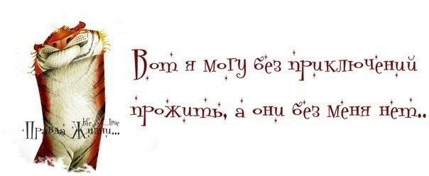 VFL.RU -  