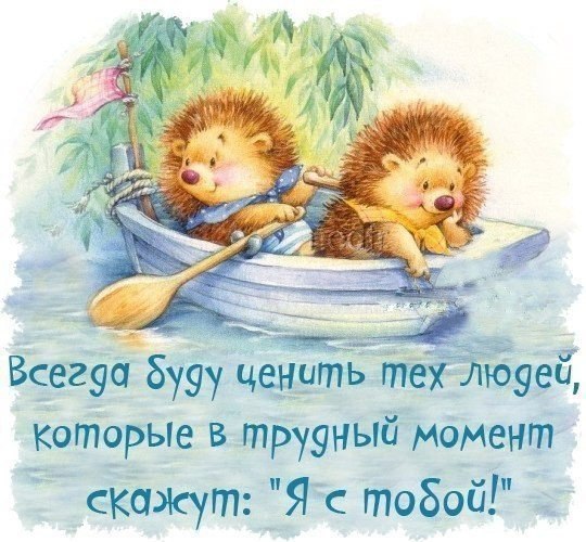 VFL.RU -  