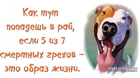 VFL.RU -  