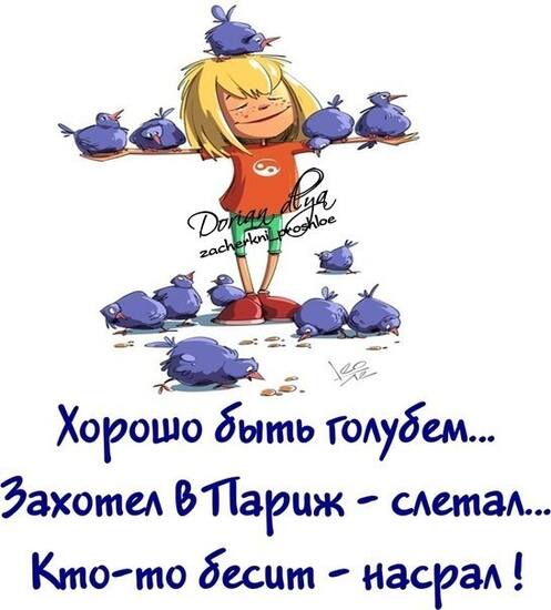 VFL.RU -  