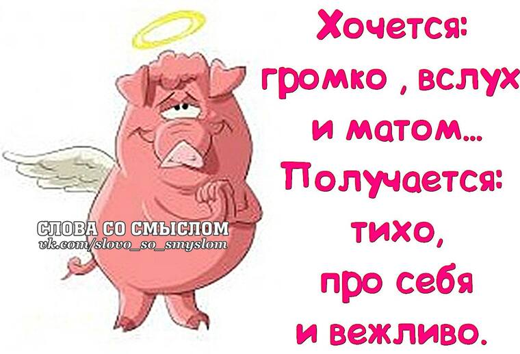 VFL.RU -  