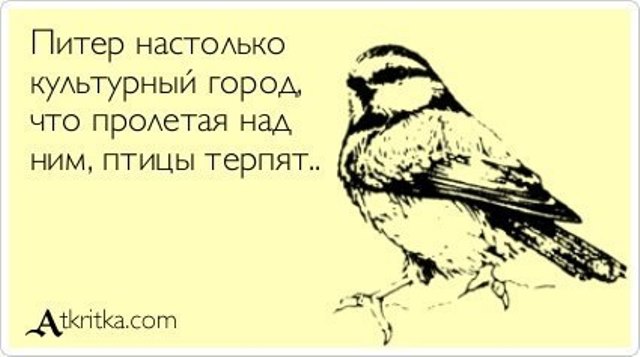 VFL.RU -  
