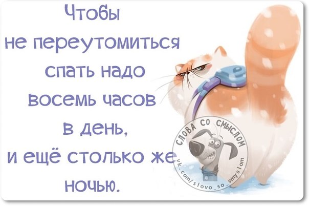 VFL.RU -  