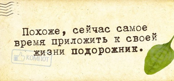 VFL.RU -  