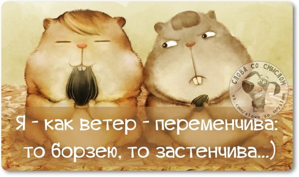 VFL.RU -  