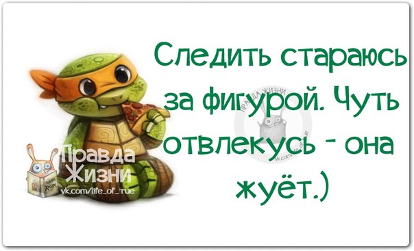 VFL.RU -  