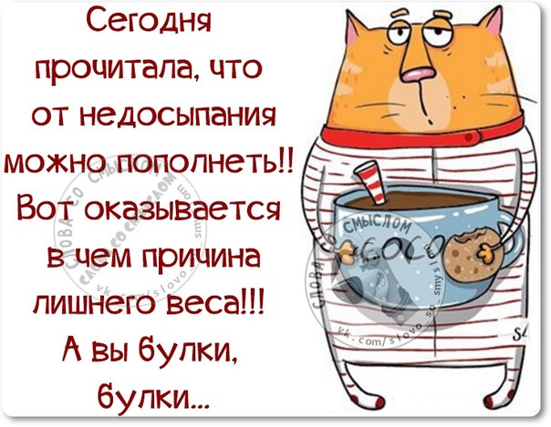 VFL.RU -  