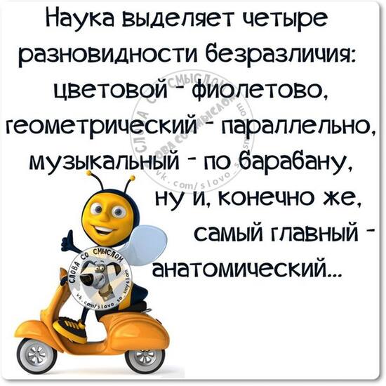 VFL.RU -  