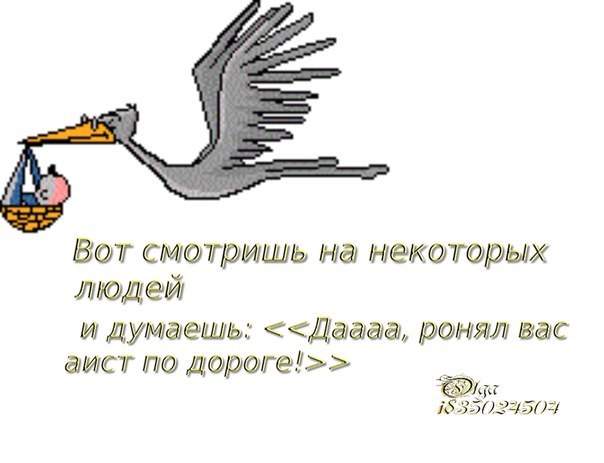 VFL.RU -  