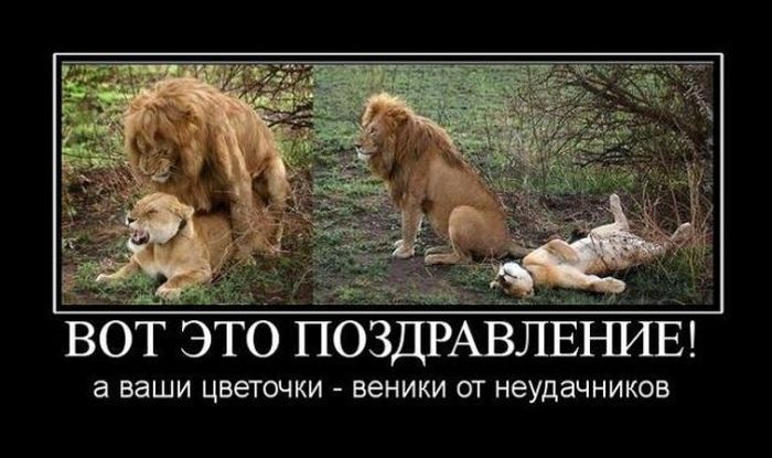 VFL.RU -  