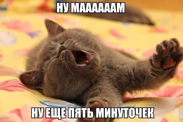 VFL.RU -  