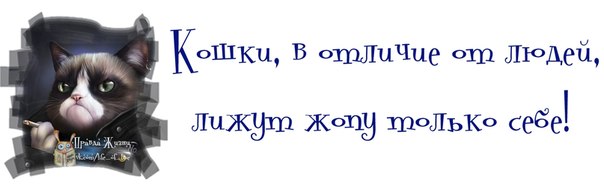 VFL.RU -  