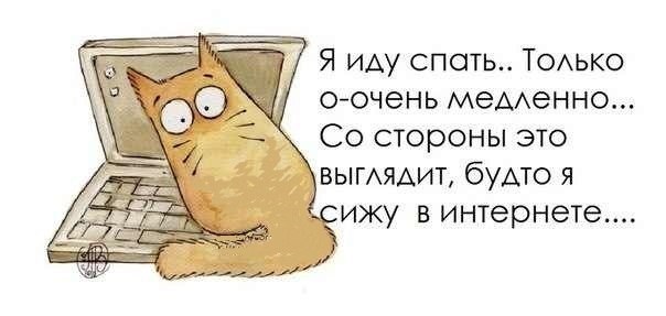 VFL.RU -  