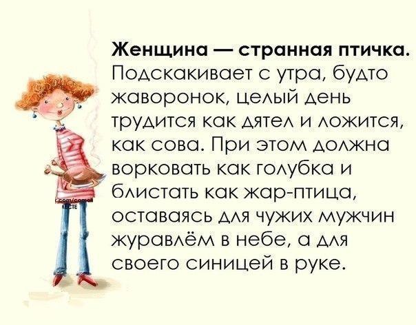 VFL.RU -  