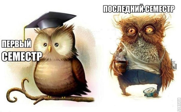 VFL.RU -  