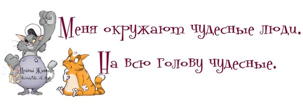 VFL.RU -  