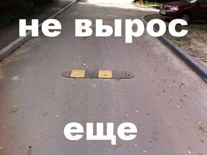VFL.RU -  