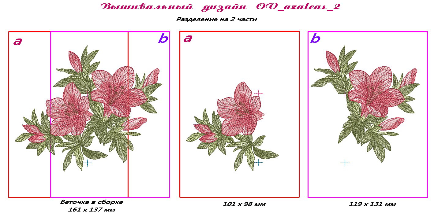 OV azaleas 2 деление на 2 части