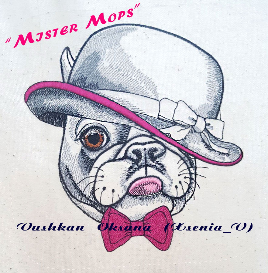VV Mister-Mops-4