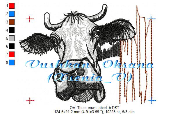 OV Three cows abcd b