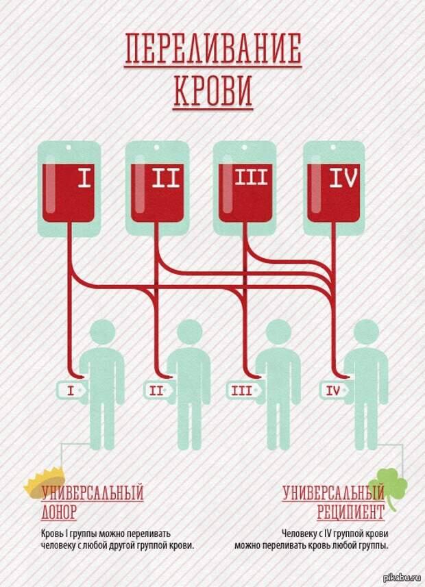 Составить схему переливания крови у вас 1 группа крови и вы донор
