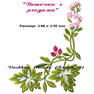 FLOR 2azz