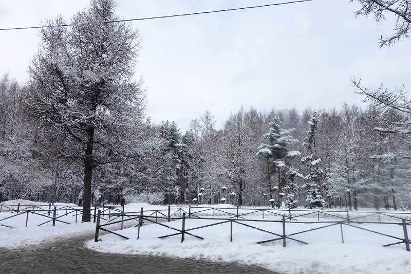 Петербург
