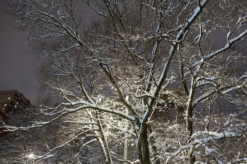 Учительская улица