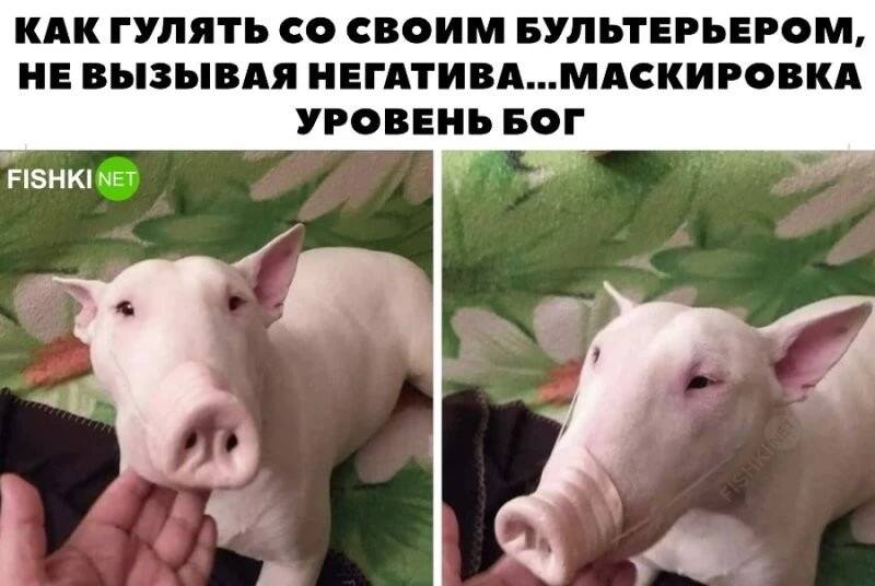 ÑÐ¼ÐµÑÐ½Ð¾