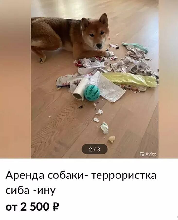 ÐÐ²Ð¸ÑÐ¾