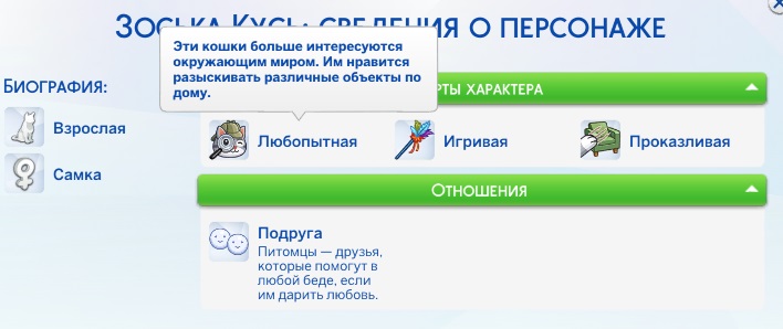 38910095.jpg