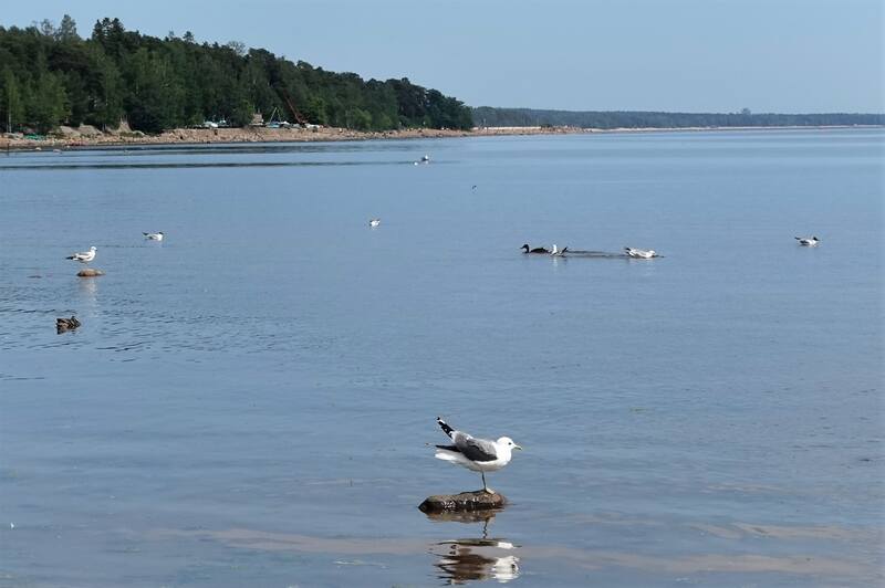 Дача Лумберга