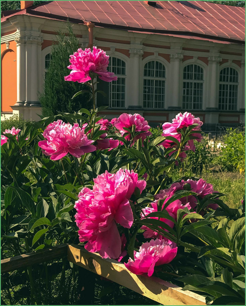 VFL.RU -  