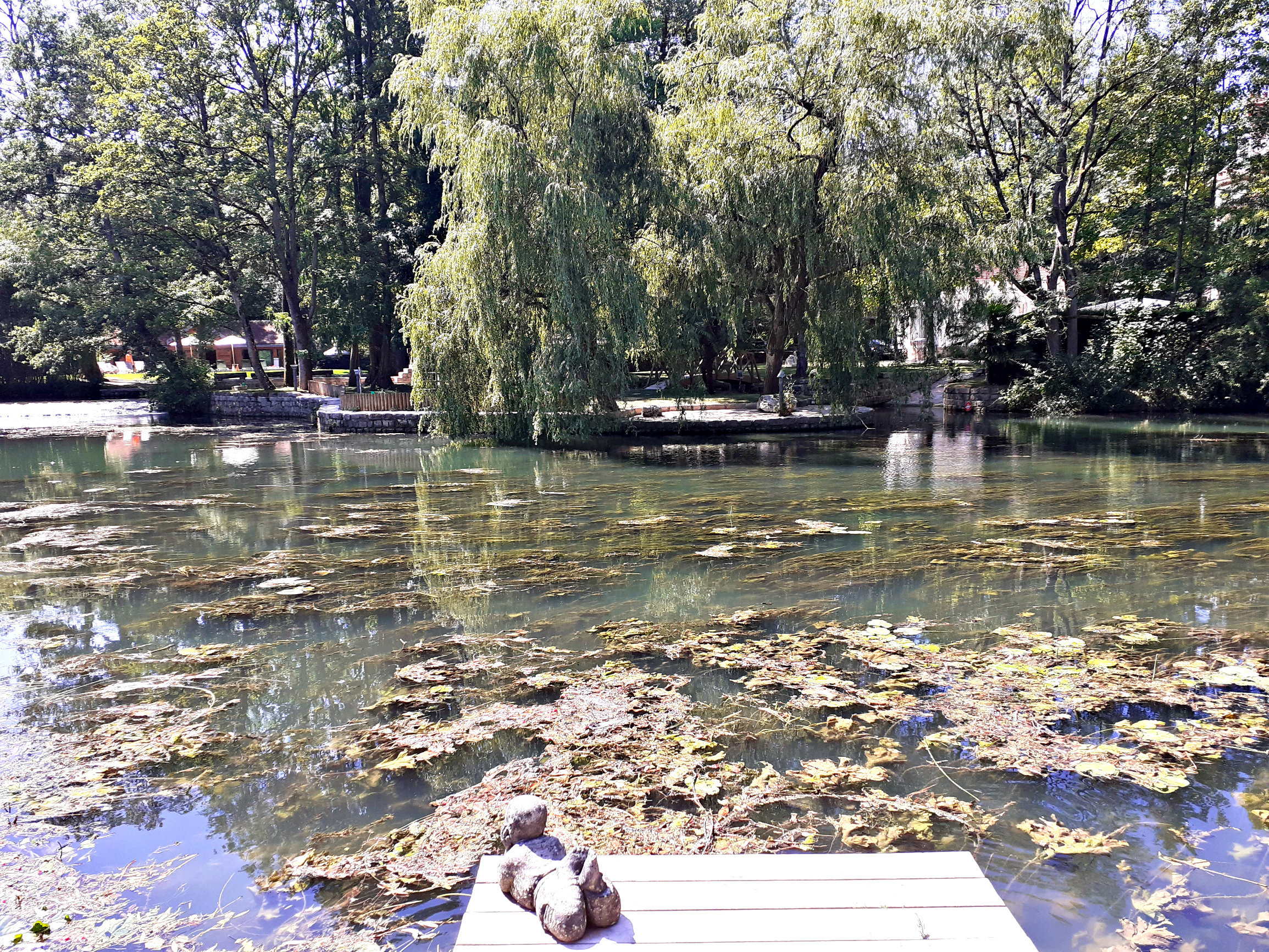 Жёлтая мельница Славы Полунина. Часть 1-я. Le Moulin Jaune.