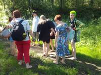 VFL.RU - ваш фотохостинг