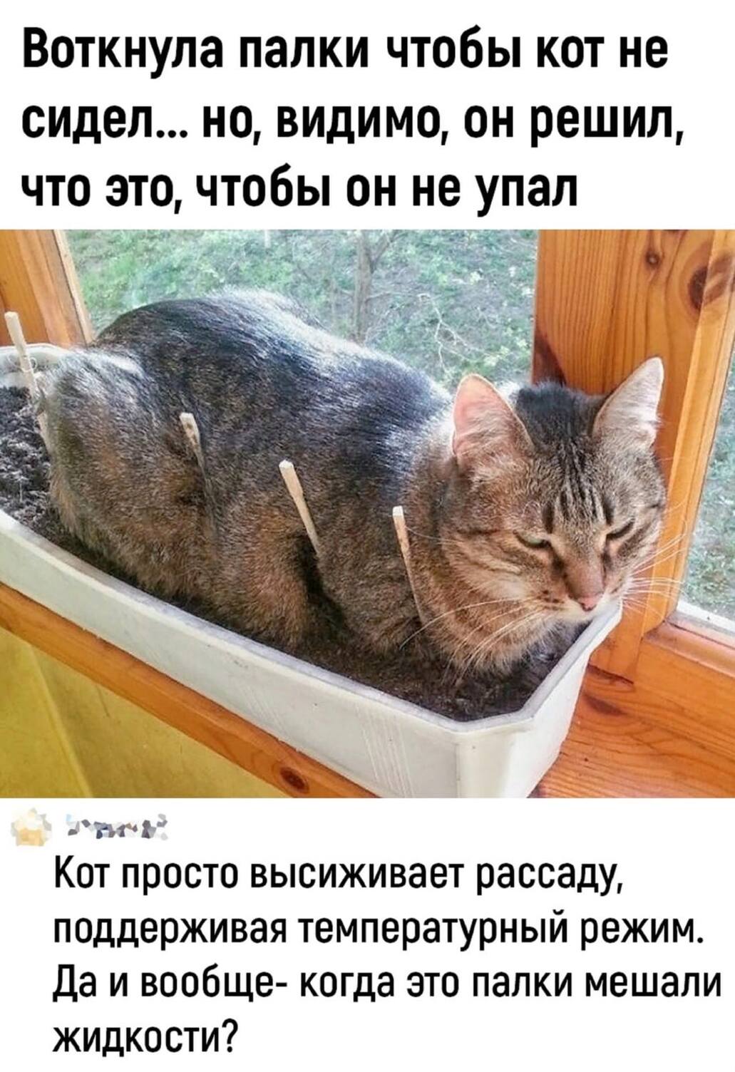 без имени