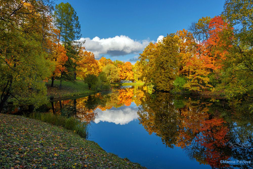 Осень Царское село храм