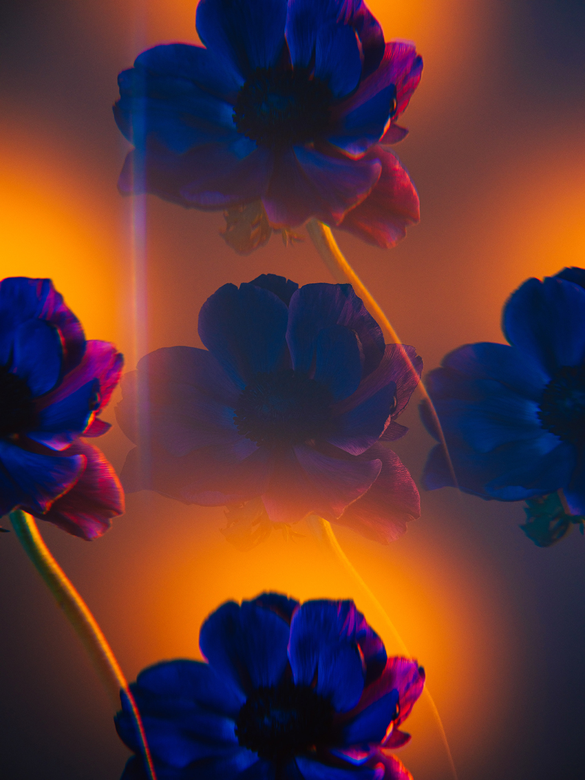 VFL.RU - ��� �����������