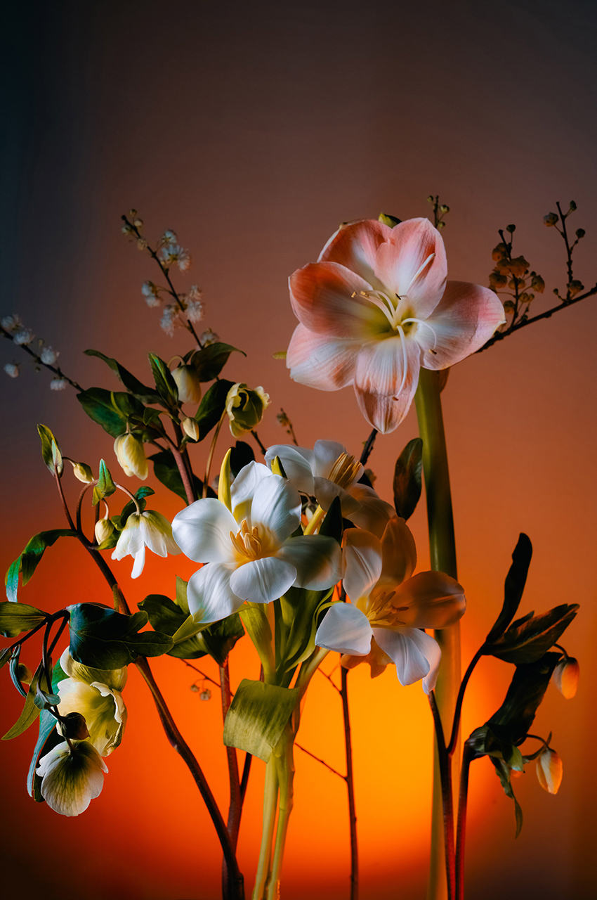 VFL.RU - ��� �����������