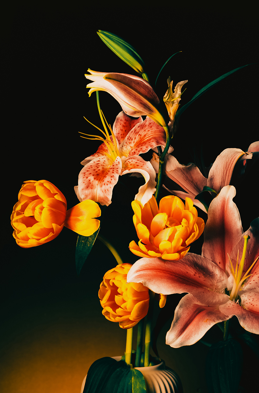 VFL.RU - ��� �����������