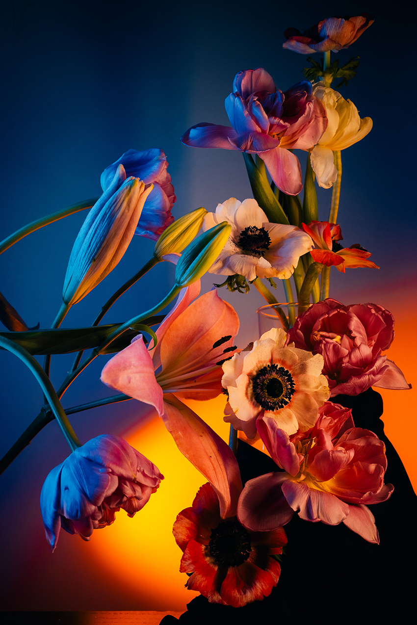 VFL.RU - ��� �����������