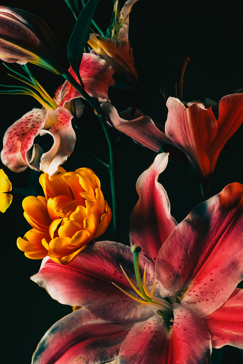 VFL.RU - ��� �����������