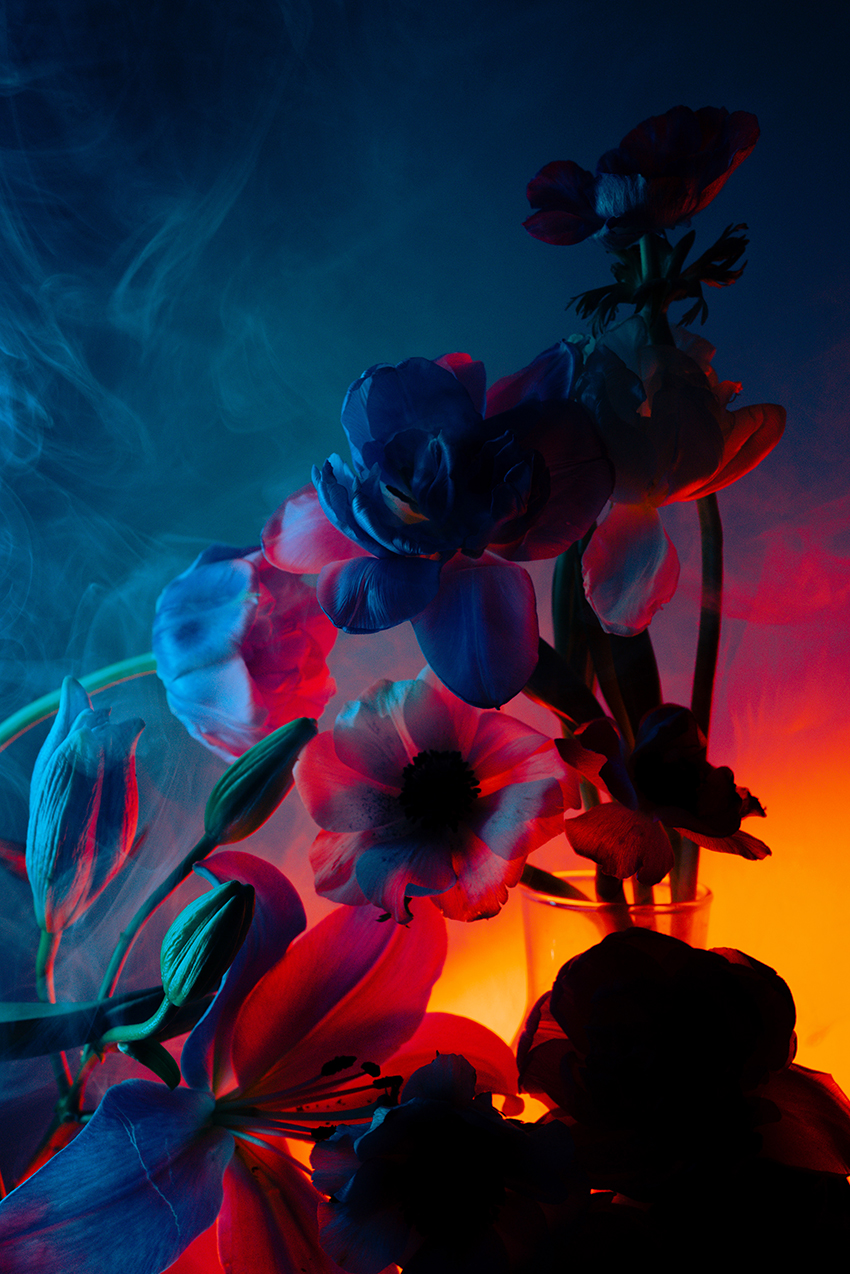 VFL.RU - ��� �����������