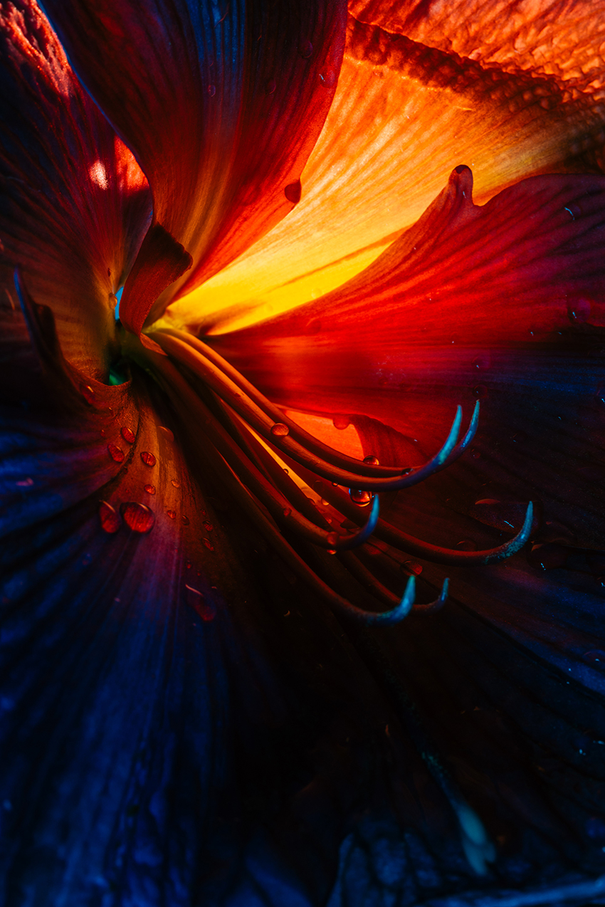 VFL.RU - ��� �����������