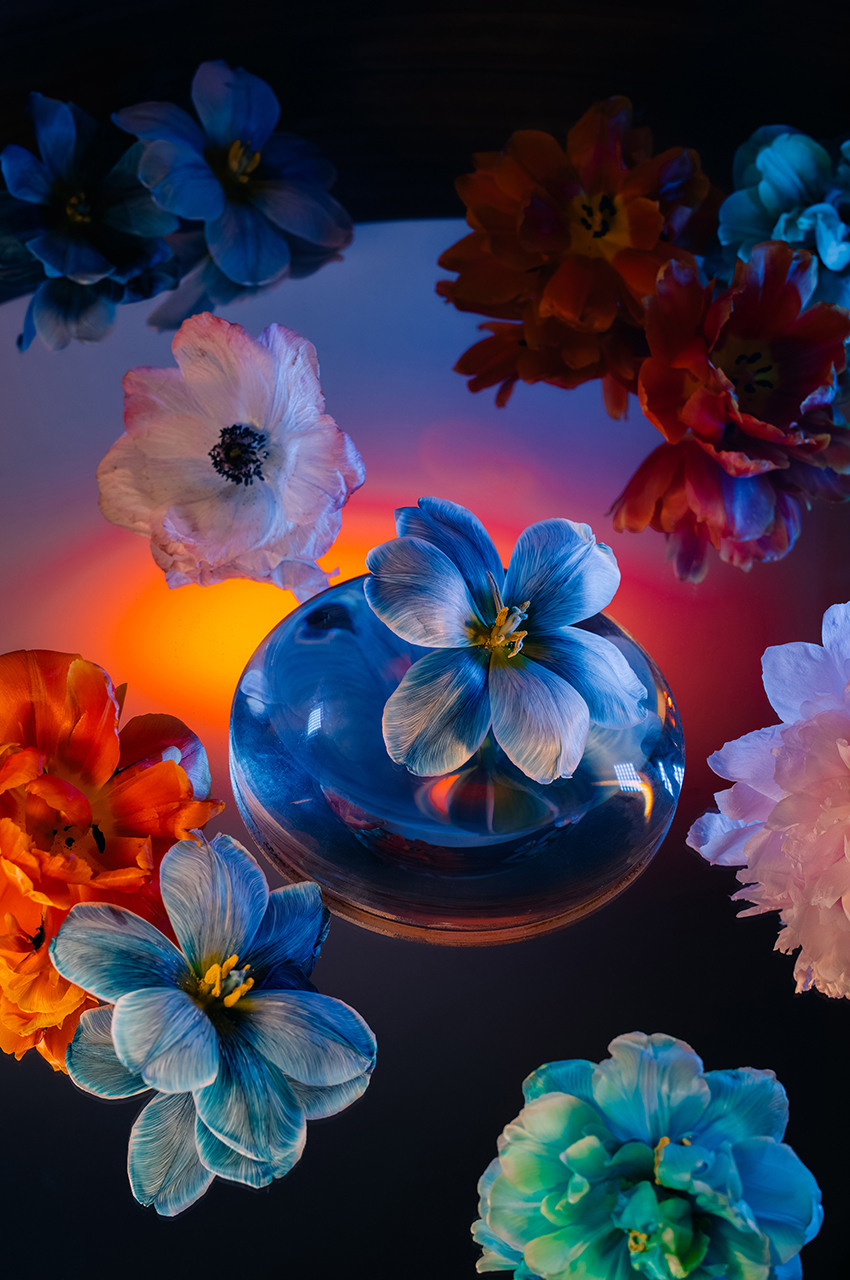 VFL.RU - ��� �����������