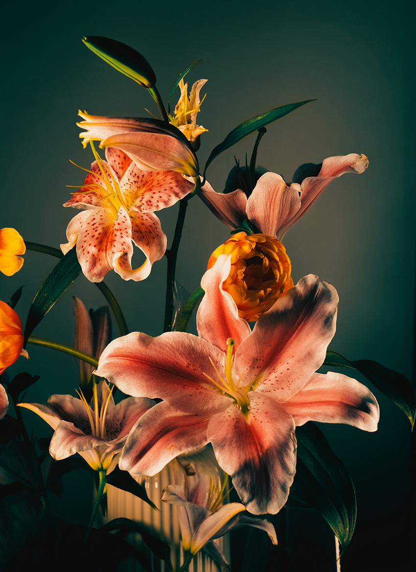 VFL.RU - ��� �����������