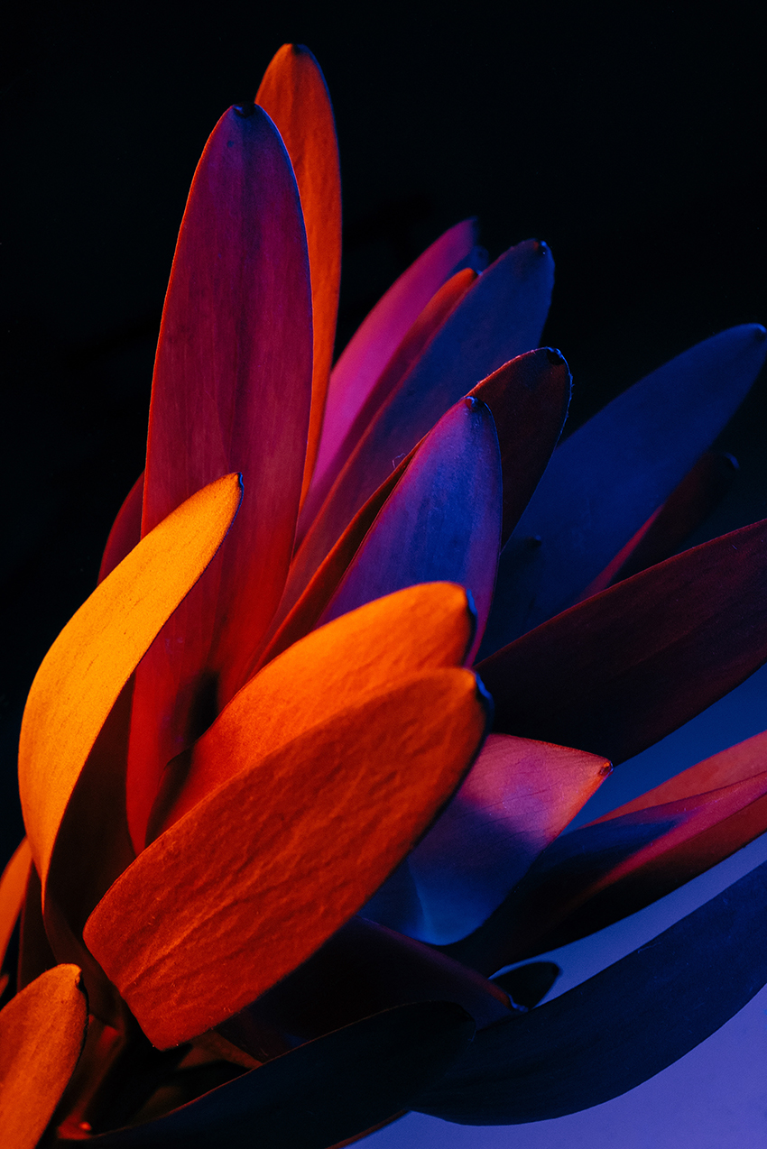 VFL.RU - ��� �����������