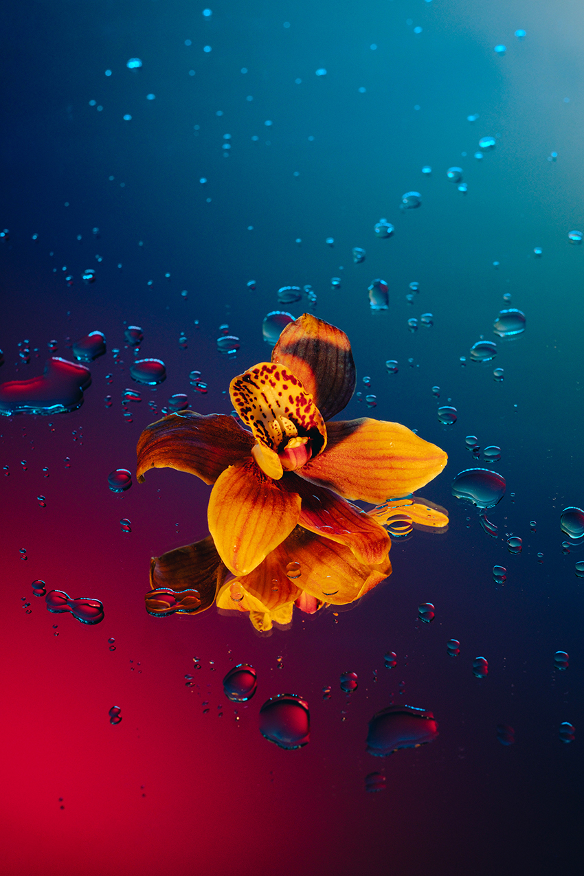 VFL.RU - ��� �����������