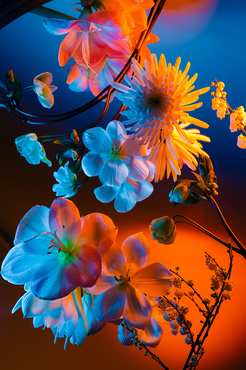 VFL.RU - ��� �����������