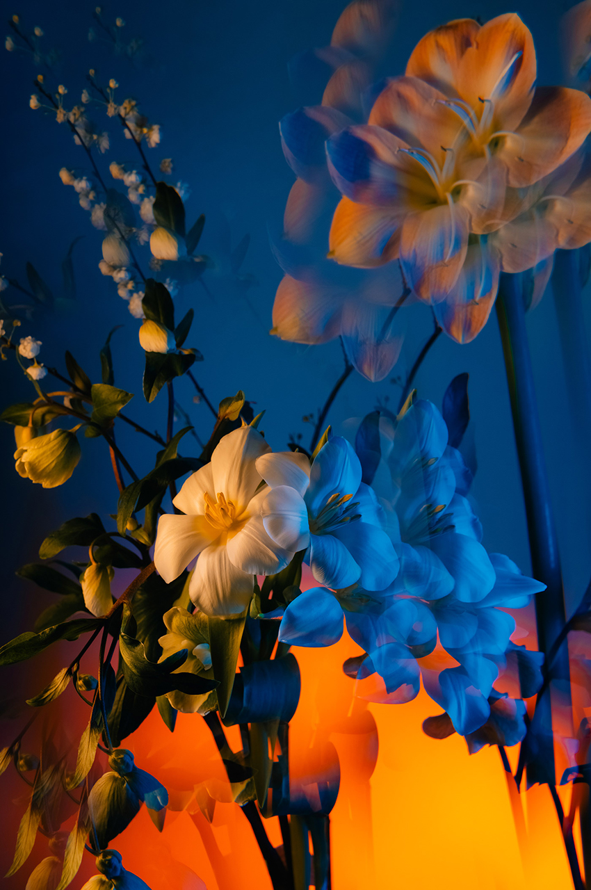 VFL.RU - ��� �����������